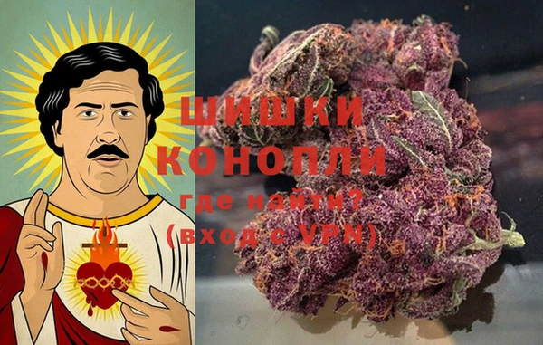 гидропоника Лагань