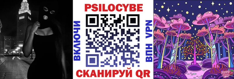 Псилоцибиновые грибы Psilocybe  Купить закладки  Владикавказ 