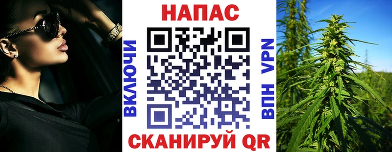 Канабис OG Kush  Купить где  Владикавказ 